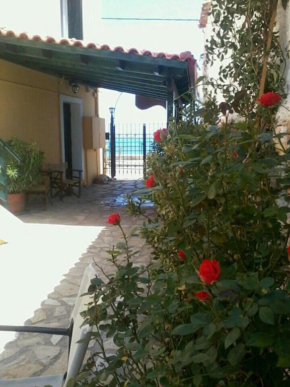 Meliti Guesthouse อากราตา ภายนอก รูปภาพ